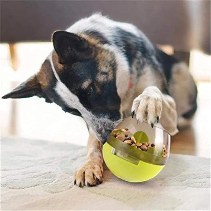 Interactive Cat Toy – IQ Treat Ball & Food Dispenser for Training & Play