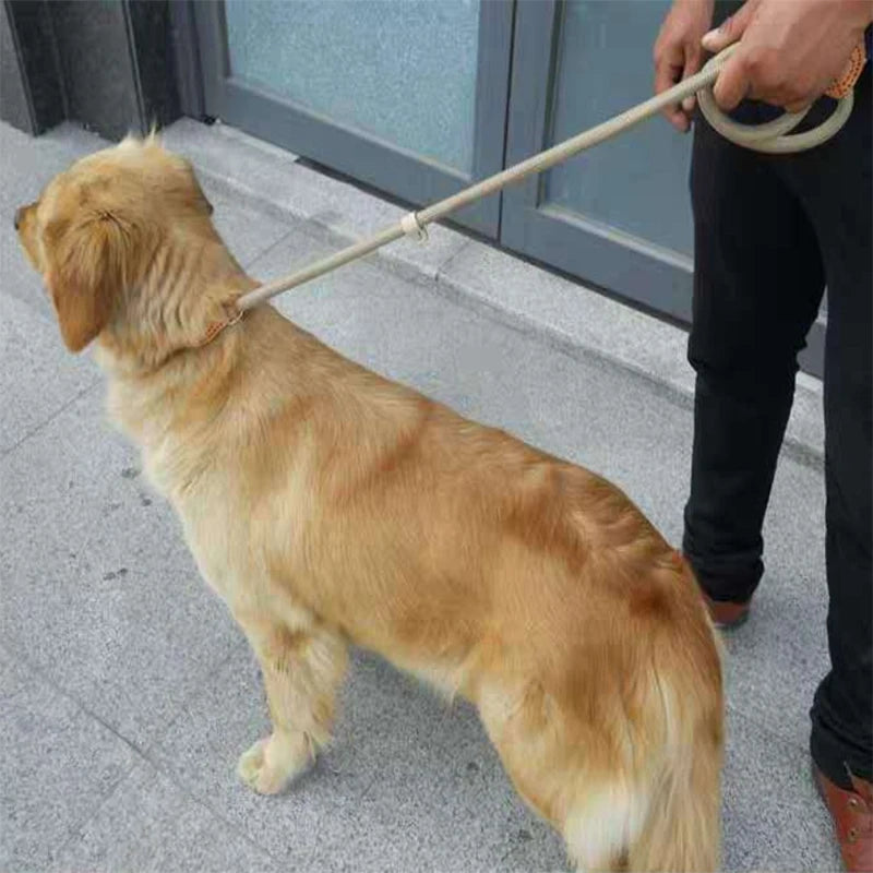 Slip Lead Dog Leash – Nylon Walking Leash for Small, Medium & Large Dogs