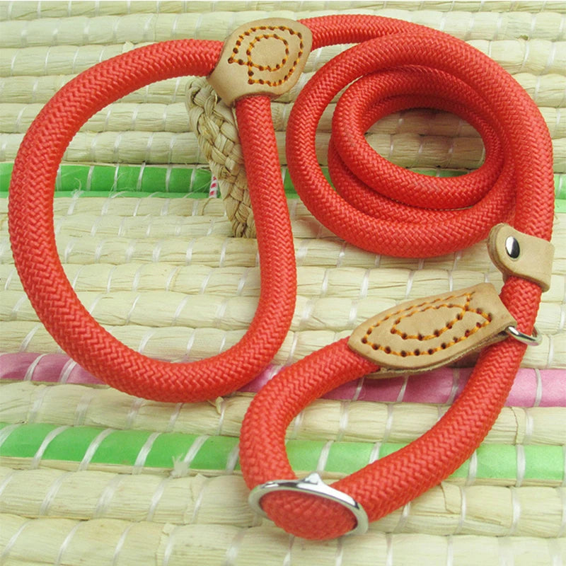Slip Lead Dog Leash – Nylon Walking Leash for Small, Medium & Large Dogs