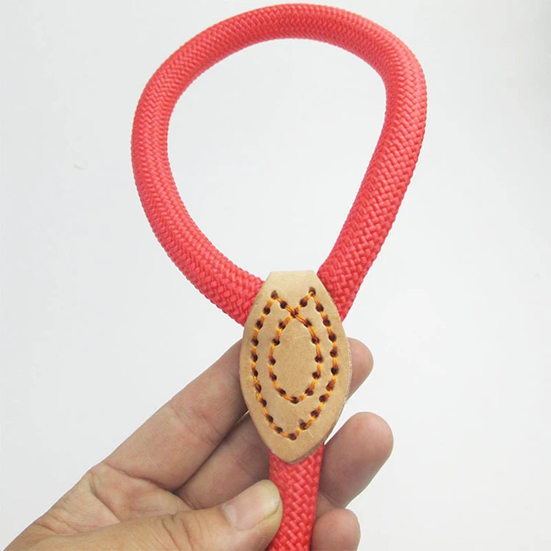 Slip Lead Dog Leash – Nylon Walking Leash for Small, Medium & Large Dogs