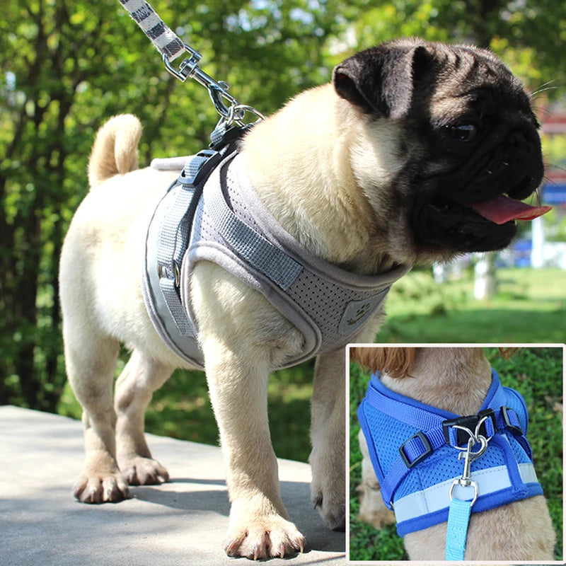 Reflective Cat & Dog Harness Set – Nylon Mesh Vest with Leash for Small Pets