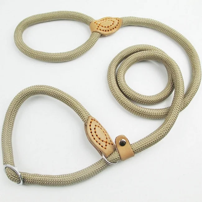 Slip Lead Dog Leash – Nylon Walking Leash for Small, Medium & Large Dogs