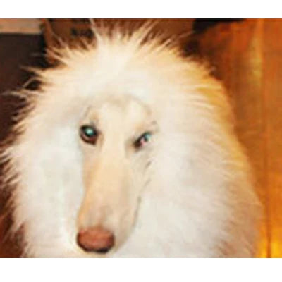 Cute Pet Cosplay Costume – Lion Mane Wig for Cats & Large Dogs, Winter Warm