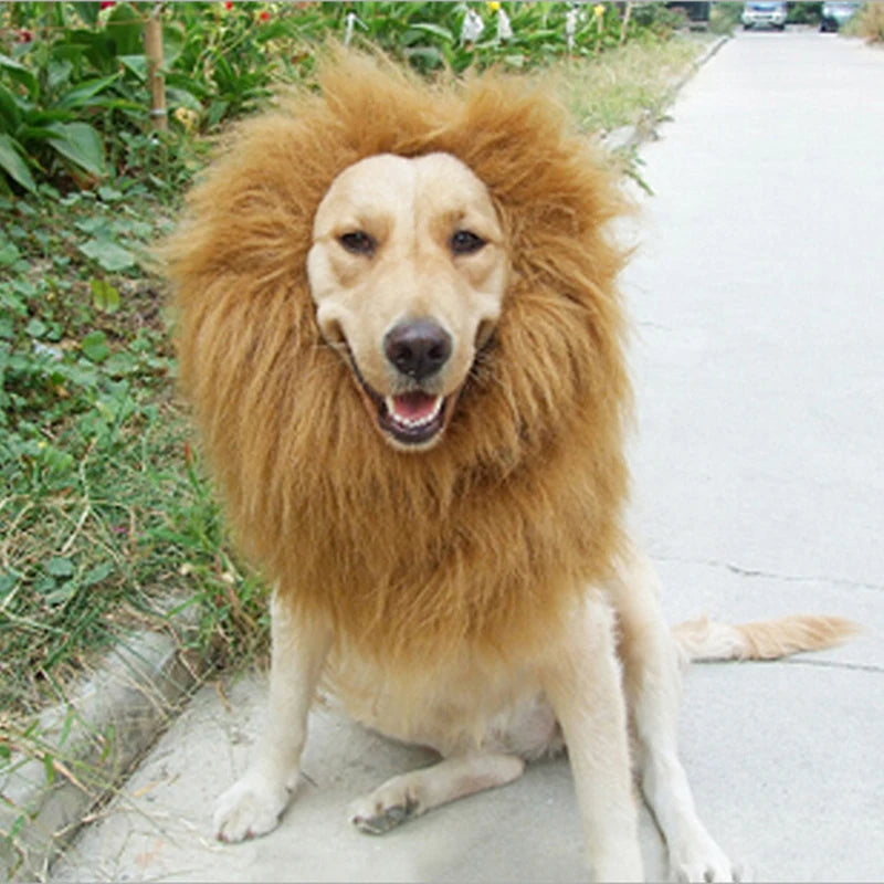 Cute Pet Cosplay Costume – Lion Mane Wig for Cats & Large Dogs, Winter Warm