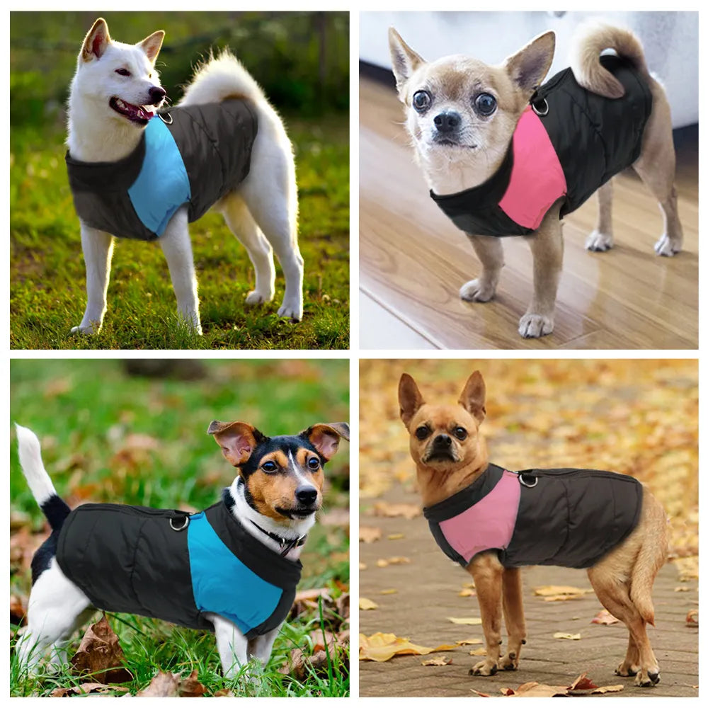 Waterproof Dog Vest Jacket – Winter Nylon Clothing for Large Dogs, Blue & Pink