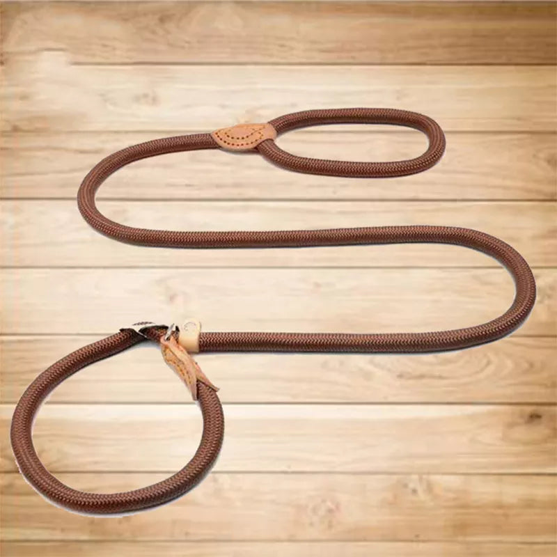 Slip Lead Dog Leash – Nylon Walking Leash for Small, Medium & Large Dogs