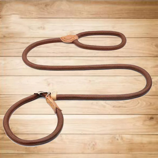 Slip Lead Dog Leash – Nylon Walking Leash for Small, Medium & Large Dogs