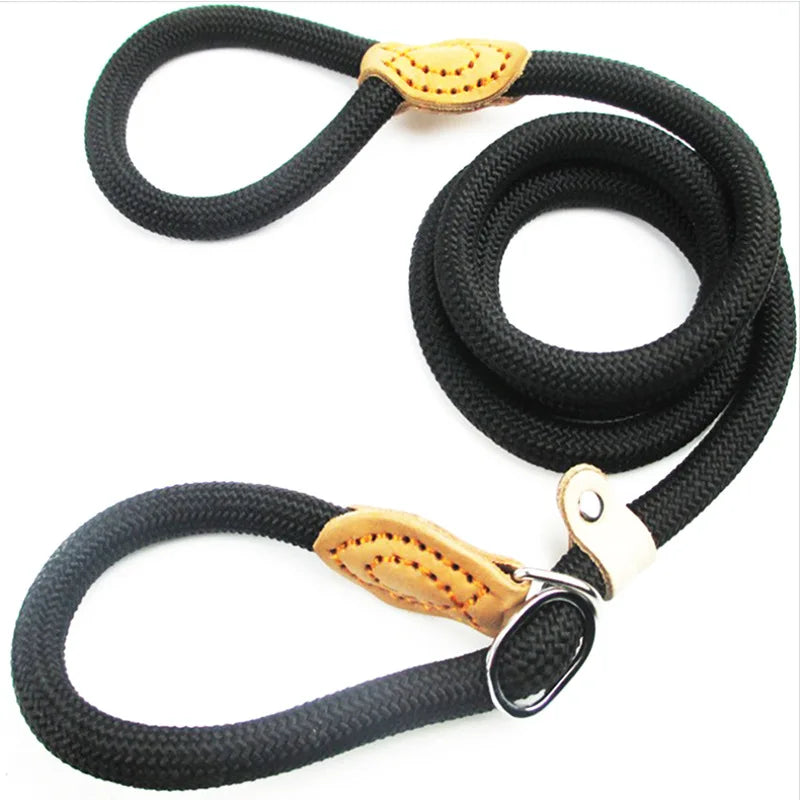Slip Lead Dog Leash – Nylon Walking Leash for Small, Medium & Large Dogs