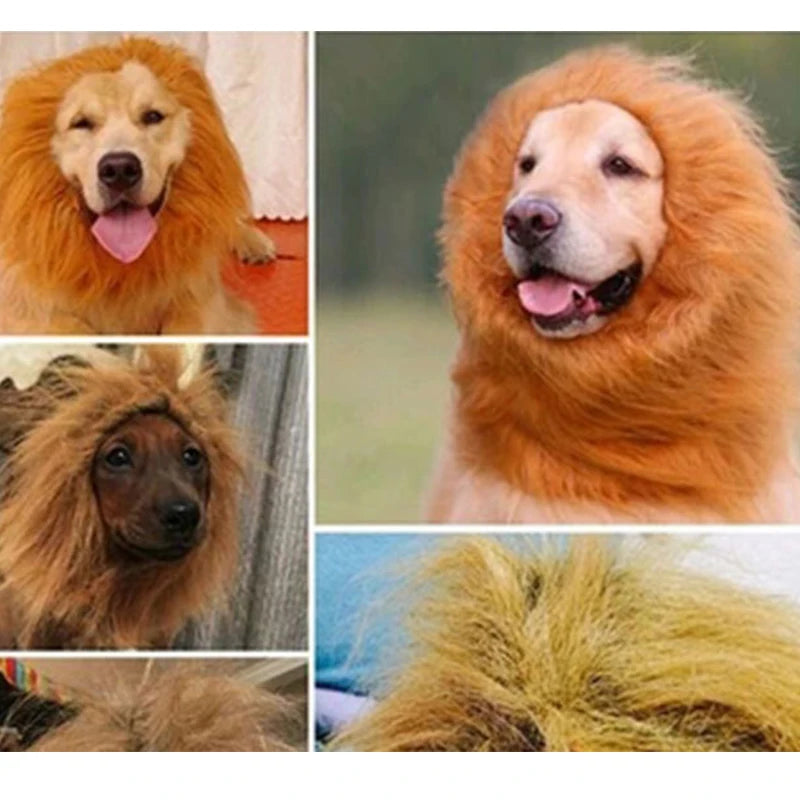Cute Pet Cosplay Costume – Lion Mane Wig for Cats & Large Dogs, Winter Warm