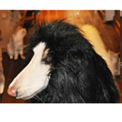 Cute Pet Cosplay Costume – Lion Mane Wig for Cats & Large Dogs, Winter Warm