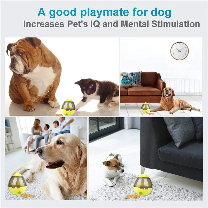 Interactive Cat Toy – IQ Treat Ball & Food Dispenser for Training & Play