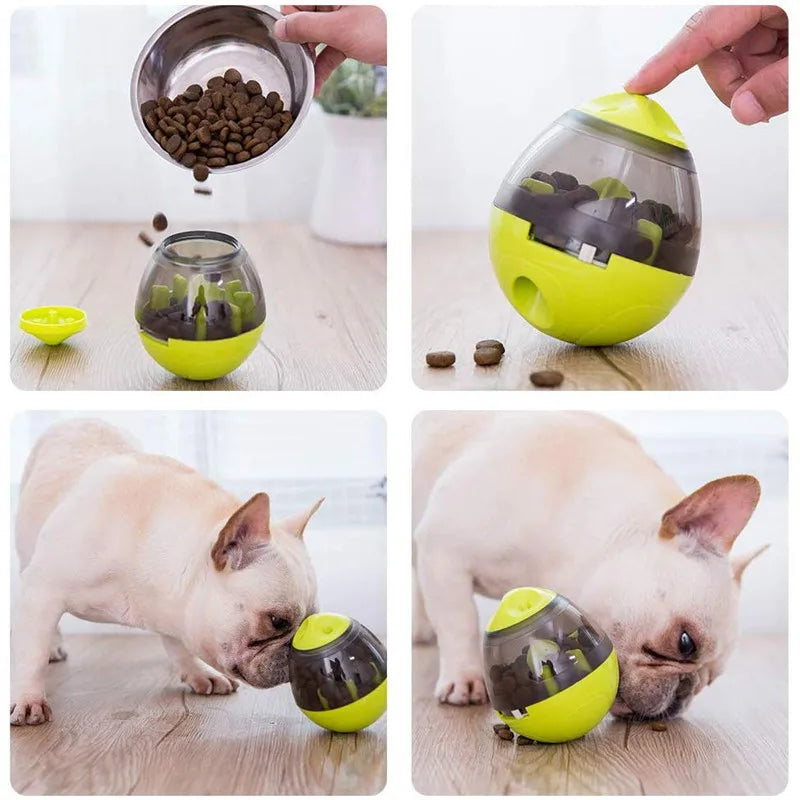 Interactive Cat Toy – IQ Treat Ball & Food Dispenser for Training & Play