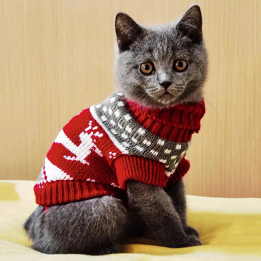 Cute Cat Sweater – Winter Warm Pullover for Cats, Sphynx & Small Pets