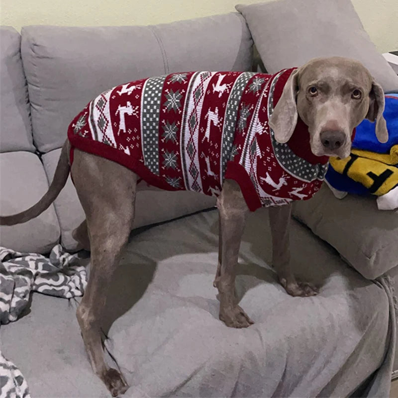 Stripe Dog Sweater – Winter Warm Coat for Small, Medium & Large Dogs, Puppies